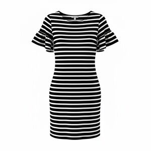 New J. Crew Shift Dress XXS